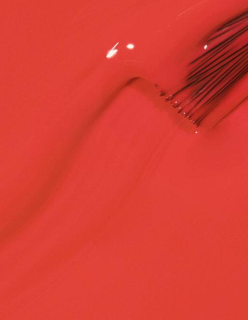 NL My Chihuahua doesnt bite anymore