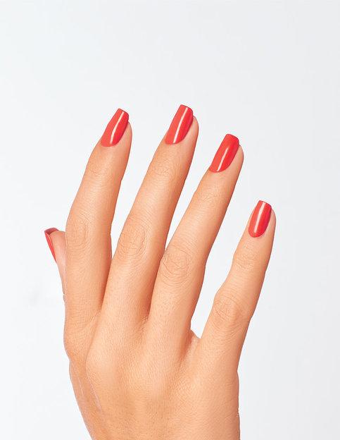 NL My Chihuahua doesnt bite anymore