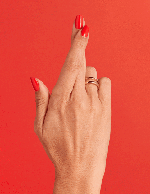 NL My Chihuahua doesnt bite anymore