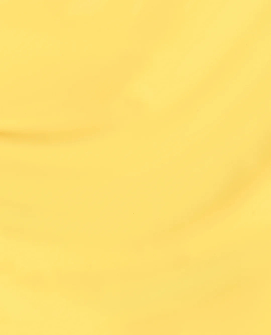 NL Daffodil Duck Walk