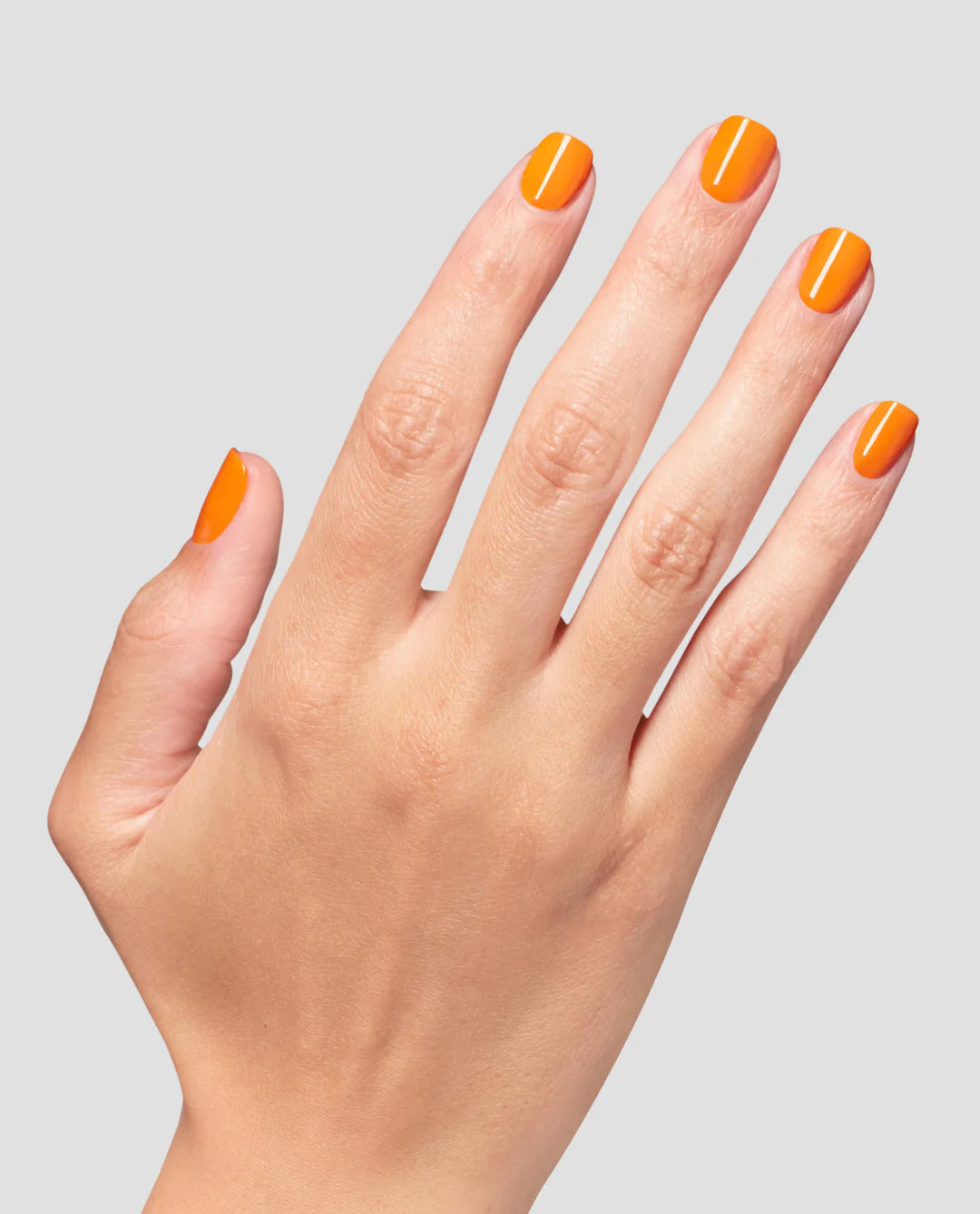 ISL Vogue Into the Sunset